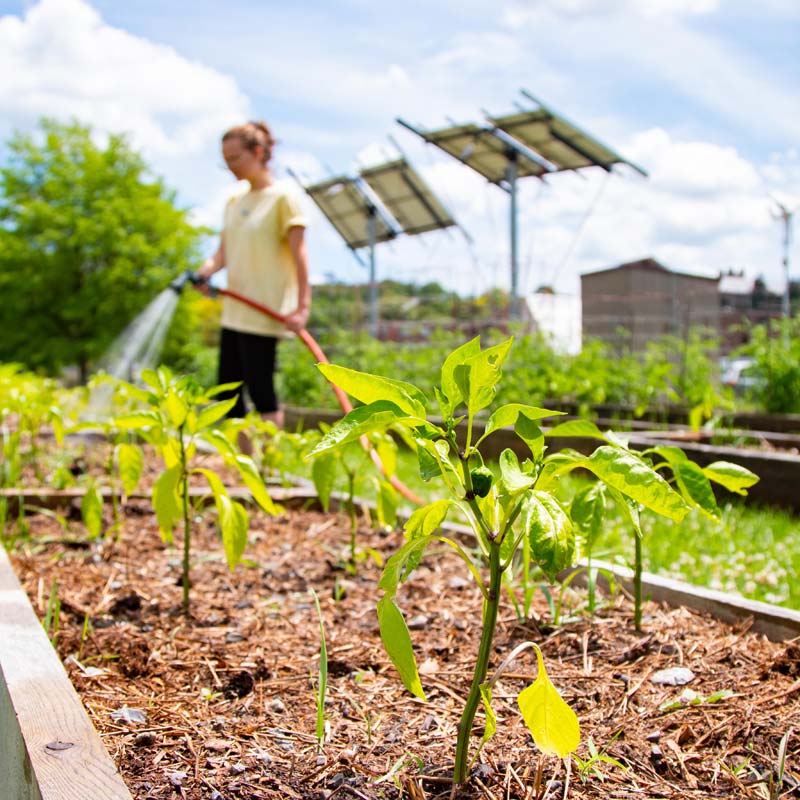 campus e-garden