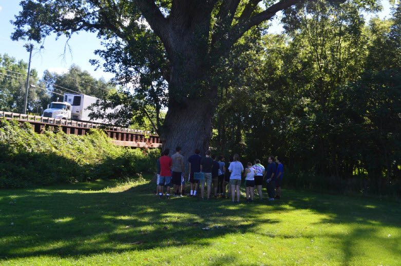 students around a tree