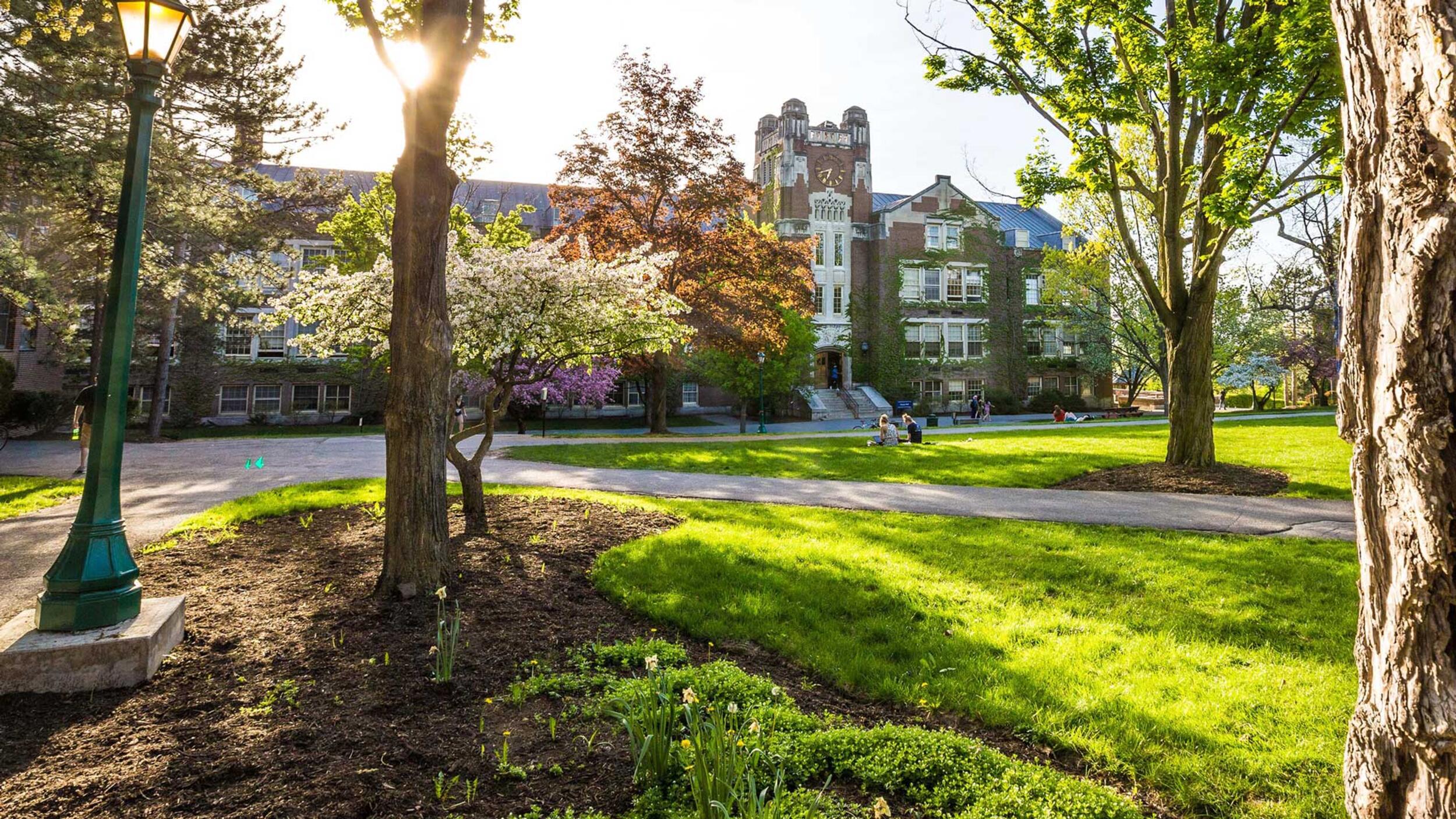 sturges quad