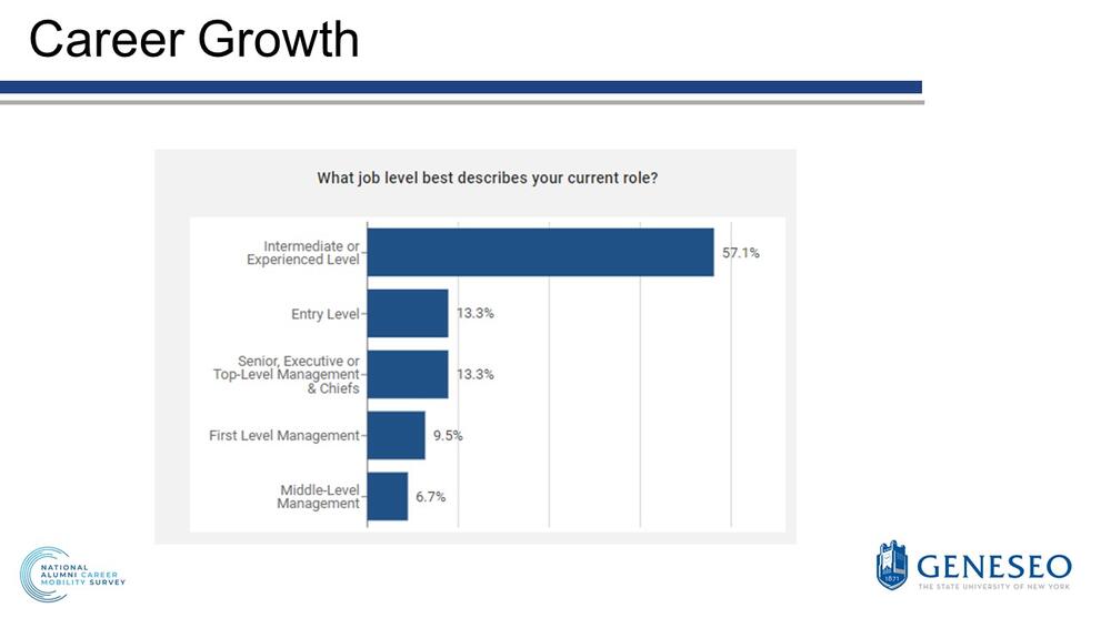 Career growth, What job level best describes your current role?, Intermediate or experienced level(57.1%), Entry level(13.3%), Senior, Executive or Top-level management and chiefs(13.3%), First level management(9.5%), Middle-level management(6.7%)