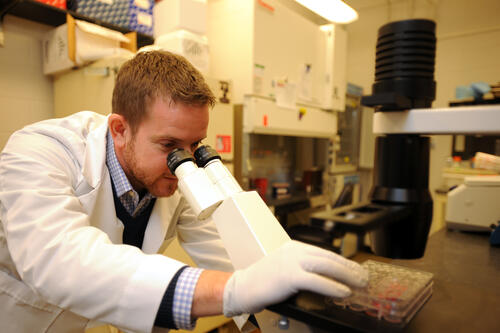 Sean Diehl '98 looking through a microscope