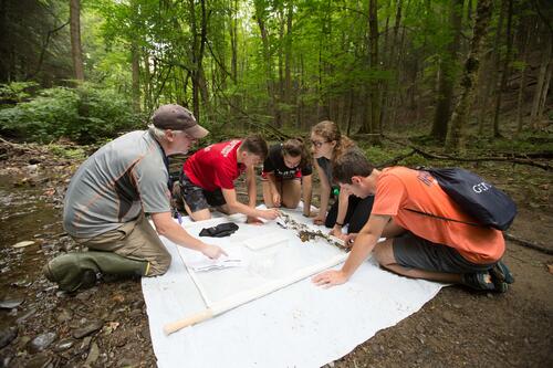 Kernan field study