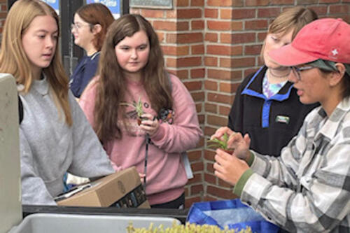 Students look at a plant during the 2022 plant show.