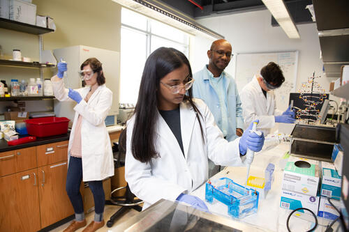 Students in chemistry lab