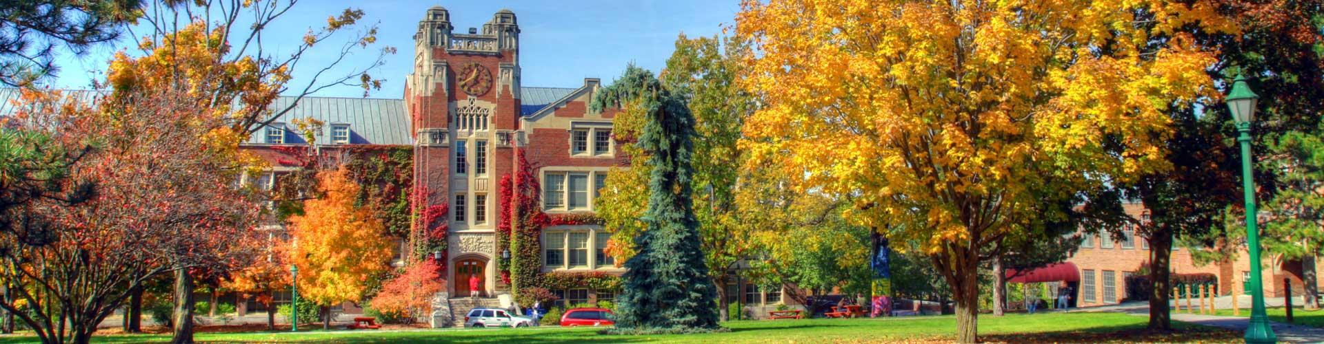 Sturges Quad in autumn