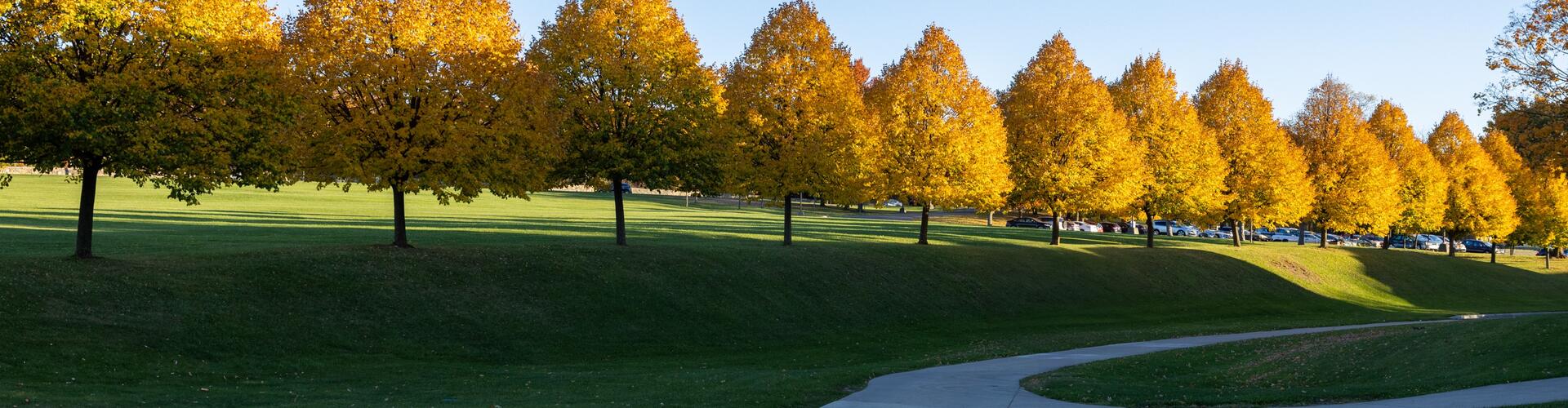 landscape with autumn trees