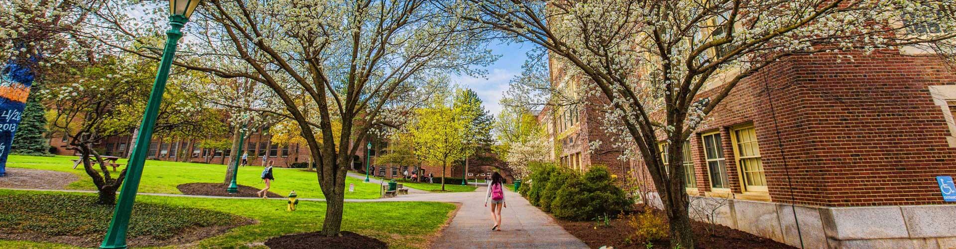 Campus during spring