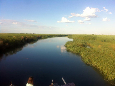 a view of the Okavango Delta